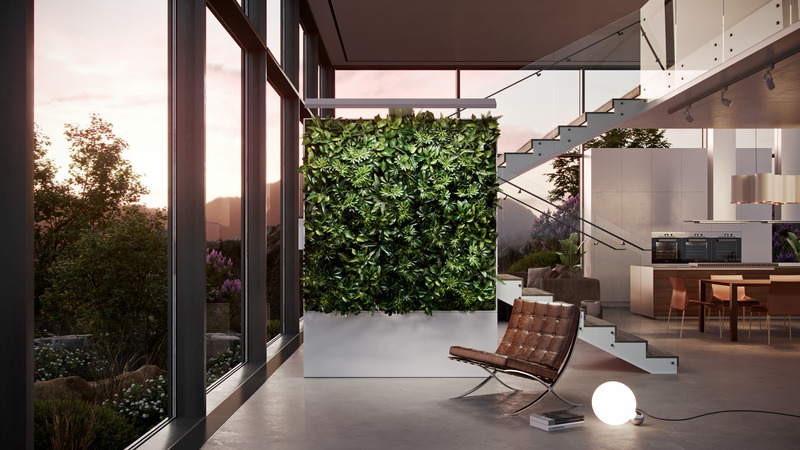 Living Wall by Zauben
Photo credit: Zauben