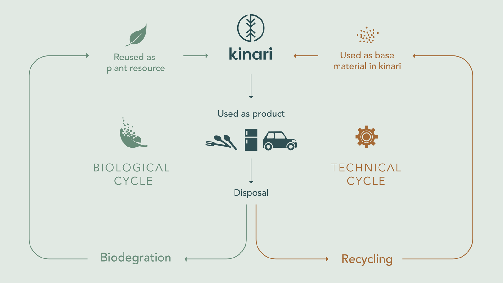 Dual recycling methods for CeF (cellulose fiber) that can be activated to achieve circularity